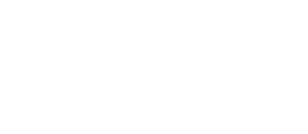 Absolut!Global